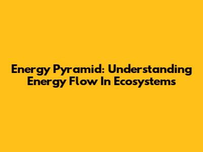 Energy Pyramid: Understanding Energy Flow In Ecosystems