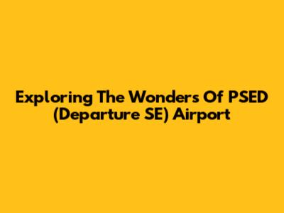 Exploring The Wonders Of PSED (Departure SE) Airport