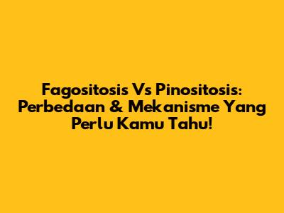 Fagositosis Vs Pinositosis: Perbedaan & Mekanisme Yang Perlu Kamu Tahu!