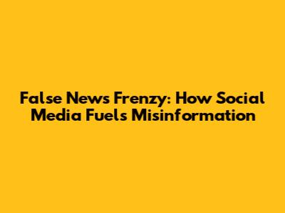 False News Frenzy: How Social Media Fuels Misinformation