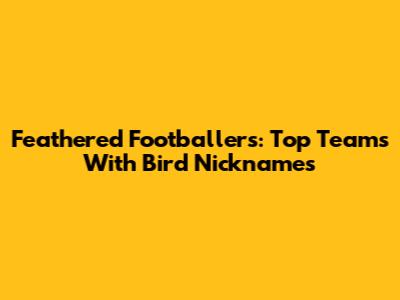 Feathered Footballers: Top Teams With Bird Nicknames