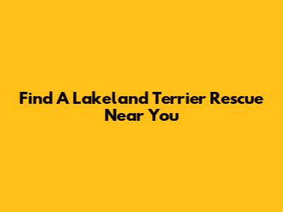 Find A Lakeland Terrier Rescue Near You