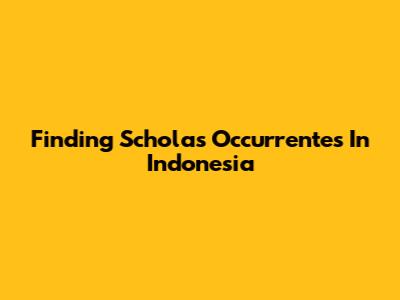 Finding Scholas Occurrentes In Indonesia