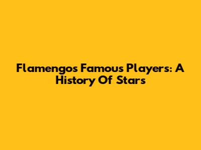Flamengo's Famous Players: A History Of Stars