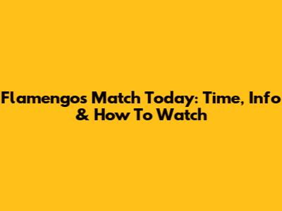 Flamengo's Match Today: Time, Info & How To Watch