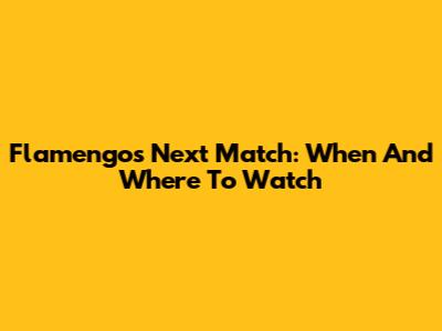 Flamengo's Next Match: When And Where To Watch