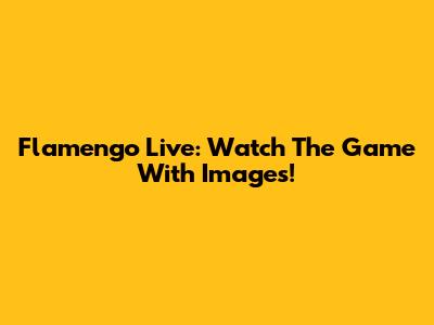 Flamengo Live: Watch The Game With Images!