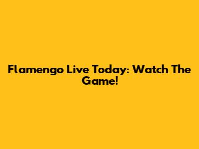 Flamengo Live Today: Watch The Game!