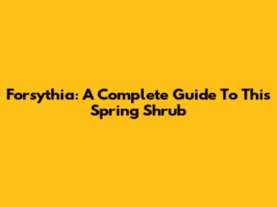 Forsythia: A Complete Guide To This Spring Shrub