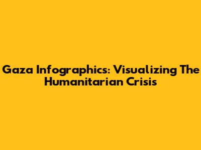Gaza Infographics: Visualizing The Humanitarian Crisis