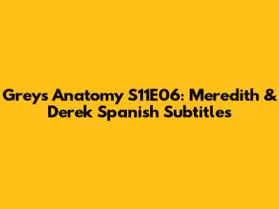 Grey's Anatomy S11E06: Meredith & Derek Spanish Subtitles