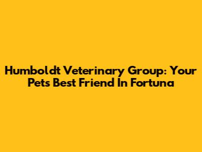 Humboldt Veterinary Group: Your Pet's Best Friend In Fortuna