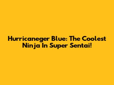 Hurricaneger Blue: The Coolest Ninja In Super Sentai!