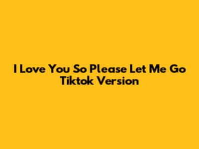 I Love You So Please Let Me Go Tiktok Version