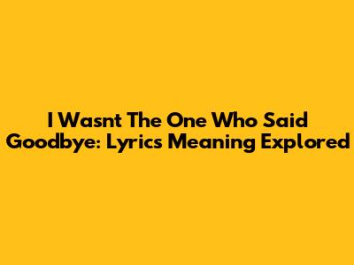 I Wasn't The One Who Said Goodbye: Lyrics Meaning Explored