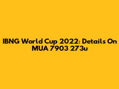 IBNG World Cup 2022: Details On MUA 7903 273u