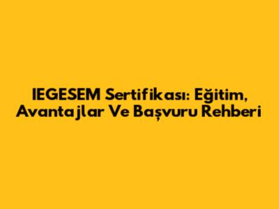 IEGESEM Sertifikası: Eğitim, Avantajlar Ve Başvuru Rehberi