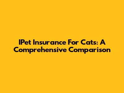 IPet Insurance For Cats: A Comprehensive Comparison
