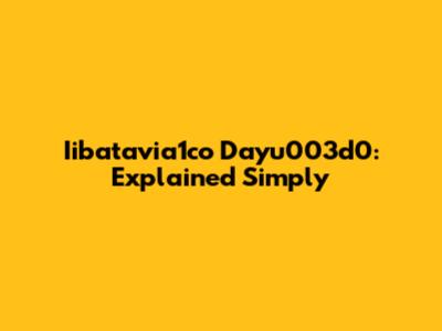 Iibatavia1co Dayu003d0: Explained Simply