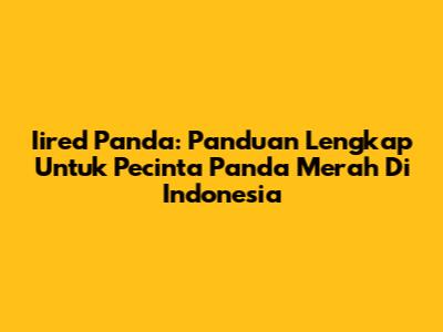 Iired Panda: Panduan Lengkap Untuk Pecinta Panda Merah Di Indonesia