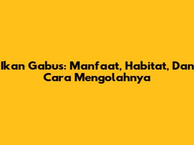 Ikan Gabus: Manfaat, Habitat, Dan Cara Mengolahnya
