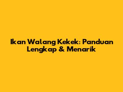 Ikan Walang Kekek: Panduan Lengkap & Menarik