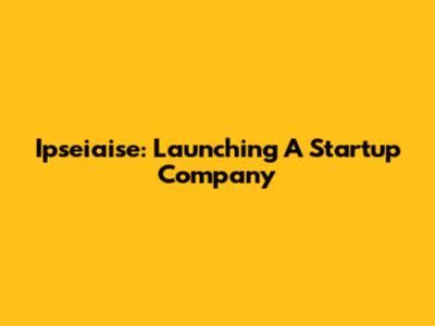 Ipseiaise: Launching A Startup Company