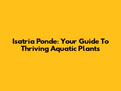 Isatria Ponde: Your Guide To Thriving Aquatic Plants