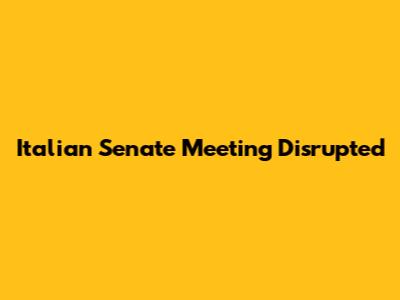 Italian Senate Meeting Disrupted