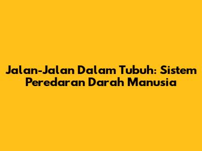 Jalan-Jalan Dalam Tubuh: Sistem Peredaran Darah Manusia