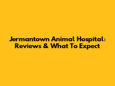 Jermantown Animal Hospital: Reviews & What To Expect