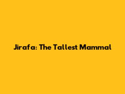 Jirafa: The Tallest Mammal