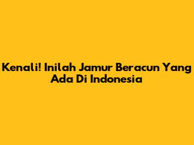 Kenali! Inilah Jamur Beracun Yang Ada Di Indonesia