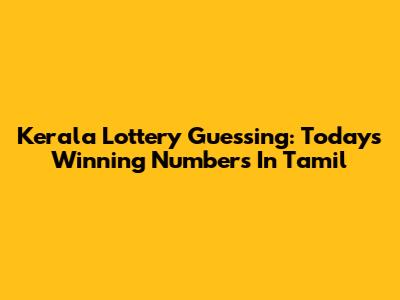 Kerala Lottery Guessing: Today's Winning Numbers In Tamil