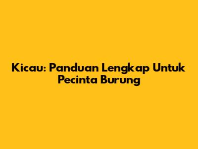 Kicau: Panduan Lengkap Untuk Pecinta Burung