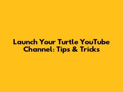 Launch Your Turtle YouTube Channel: Tips & Tricks