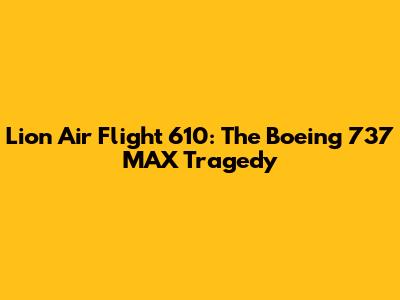 Lion Air Flight 610: The Boeing 737 MAX Tragedy
