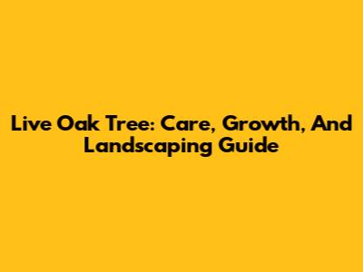 Live Oak Tree: Care, Growth, And Landscaping Guide