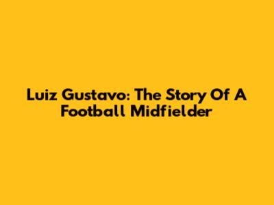 Luiz Gustavo: The Story Of A Football Midfielder