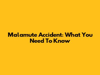 Malamute Accident: What You Need To Know