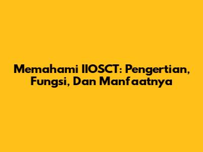 Memahami IIOSCT: Pengertian, Fungsi, Dan Manfaatnya