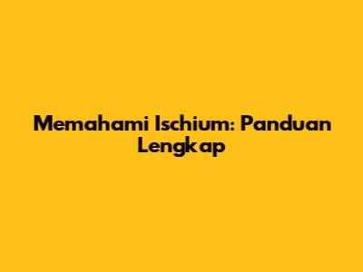 Memahami Ischium: Panduan Lengkap