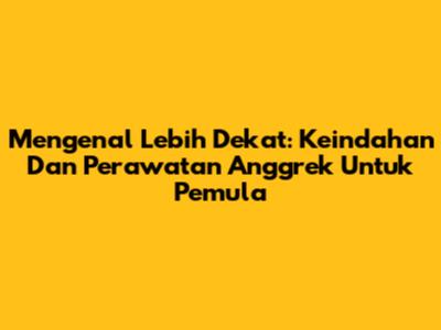 Mengenal Lebih Dekat: Keindahan Dan Perawatan Anggrek Untuk Pemula