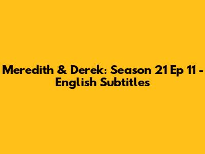 Meredith & Derek: Season 21 Ep 11 - English Subtitles
