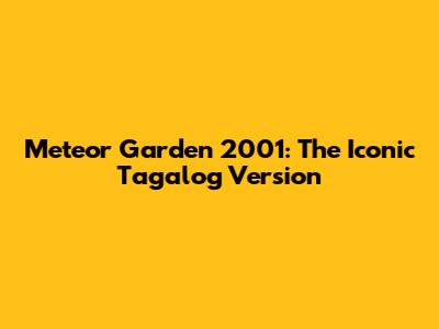 Meteor Garden 2001: The Iconic Tagalog Version