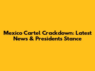 Mexico Cartel Crackdown: Latest News & President's Stance