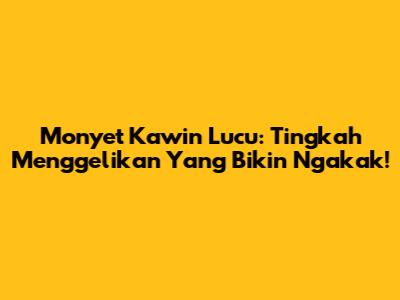 Monyet Kawin Lucu: Tingkah Menggelikan Yang Bikin Ngakak!