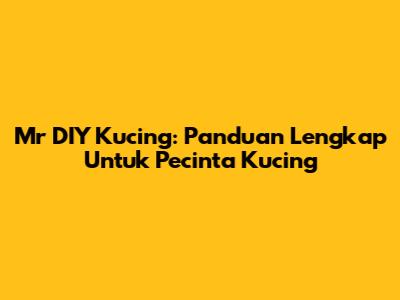 Mr DIY Kucing: Panduan Lengkap Untuk Pecinta Kucing