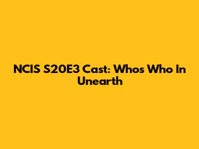 NCIS S20E3 Cast: Who's Who In 'Unearth'