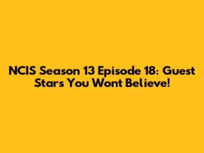 NCIS Season 13 Episode 18: Guest Stars You Won't Believe!